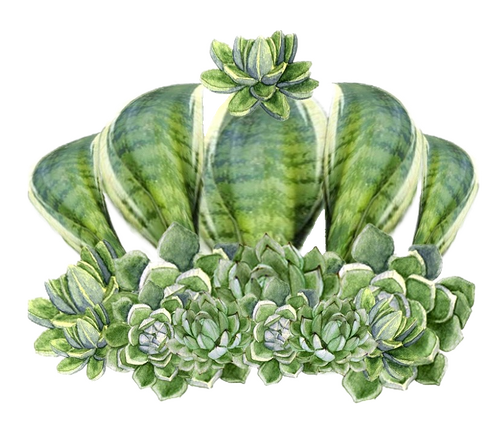 The Emperor's New Plants